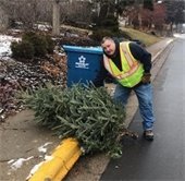 public works picking up christmas trees