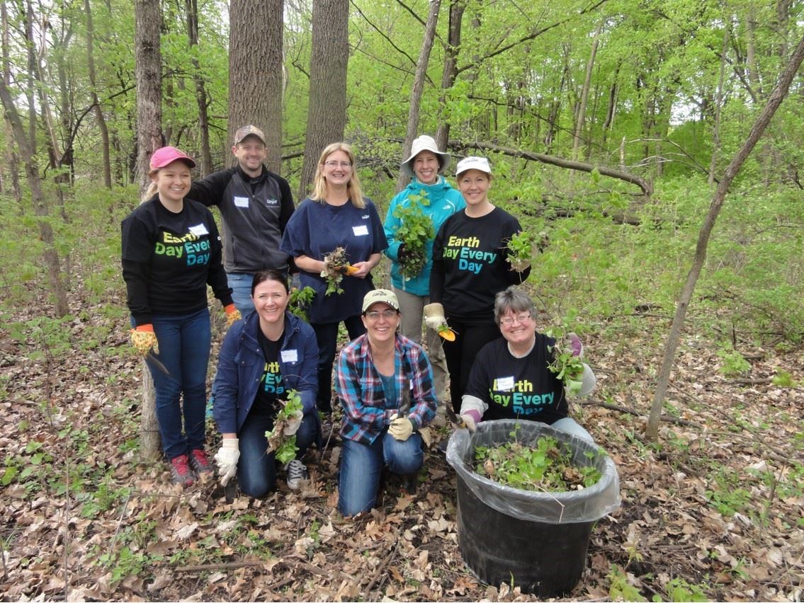 A team of Cargill employees pausing during a mustard seed plants removal in the Big Woods